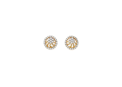 Gold Plated | Fashion Earrings